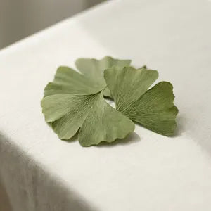 Ginkgo Leaf