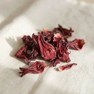 Hibiscus